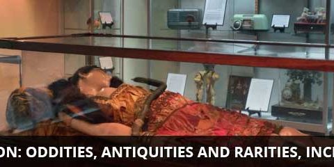 widget-homebar-4-foto oddities, antiquities and rarities